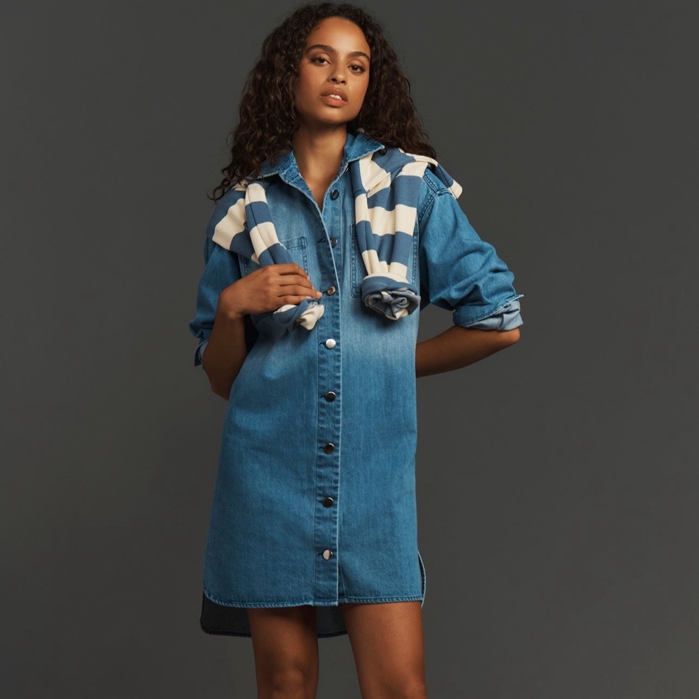 Porridge Long-Sleeve Collared Mini Shirt Dress